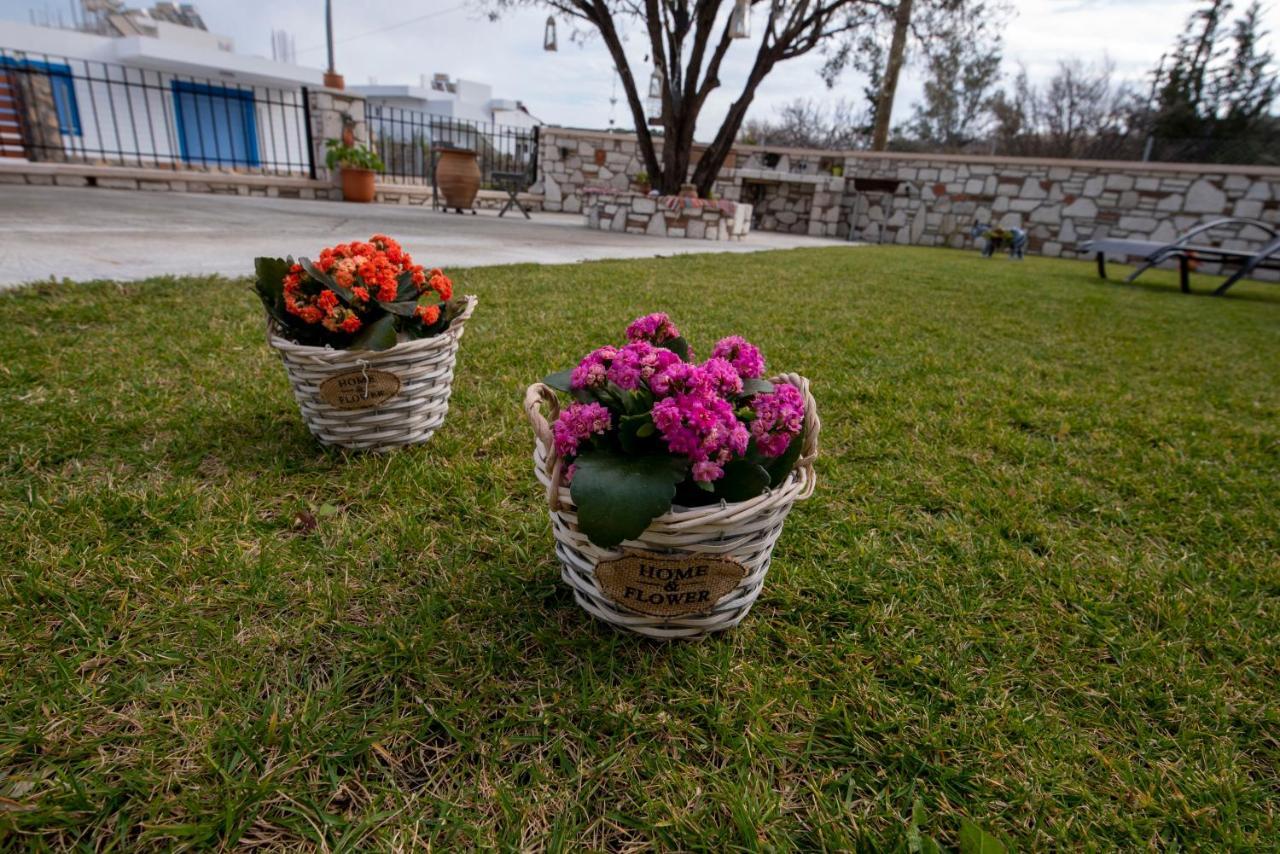 Searock Stegna Villa Archangelos (Rhodes) Exterior foto